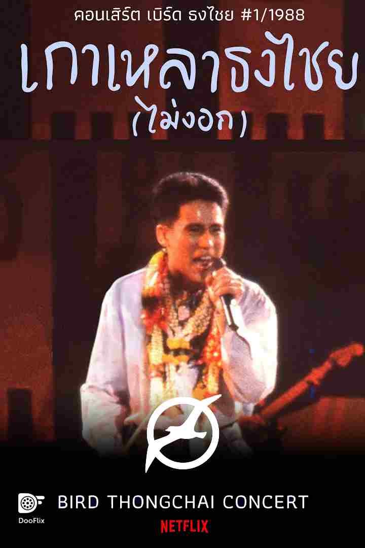 คอนเสิร์ต เกาเหลาธงไชย (ไม่งอก)