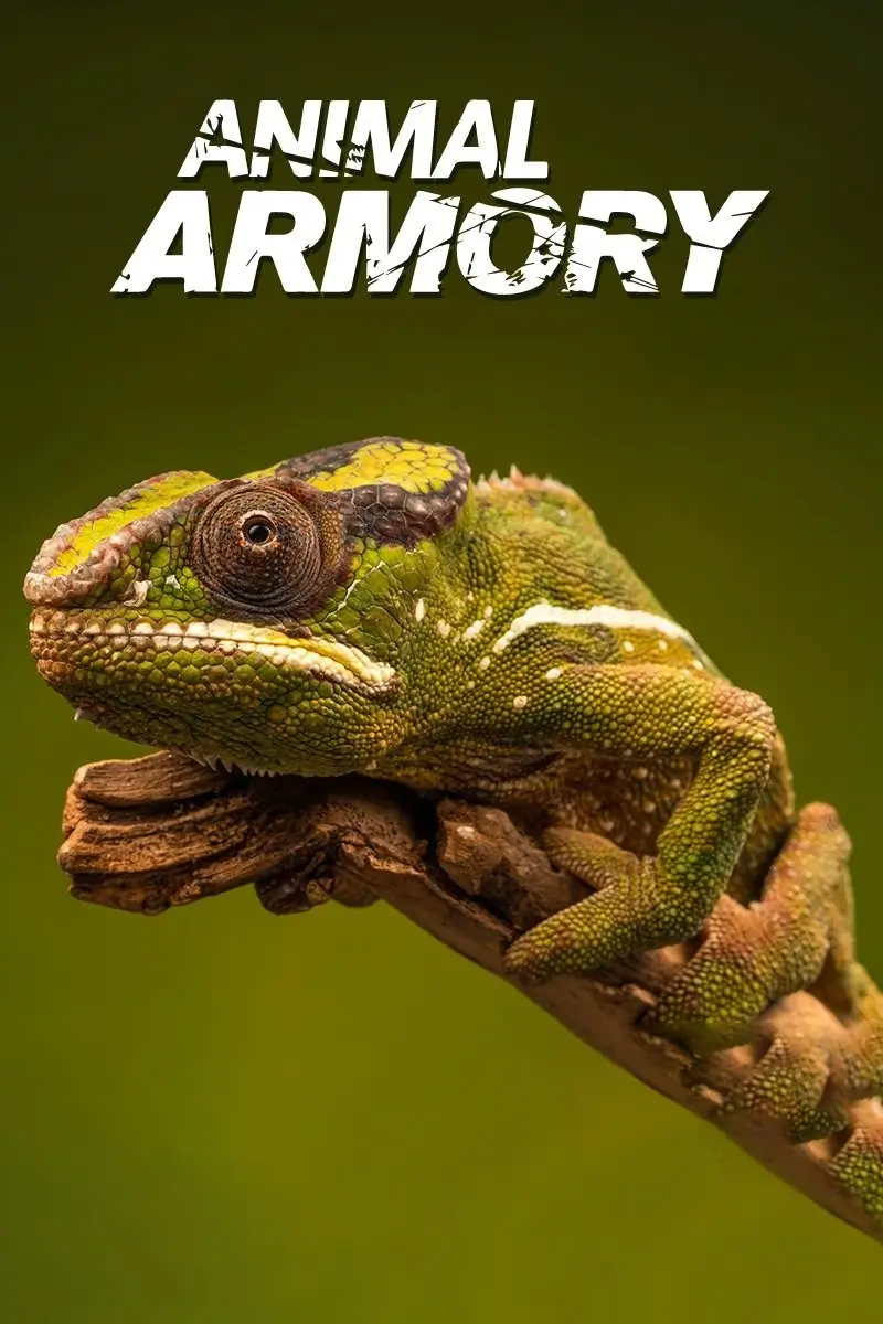 Animal's Armory : อาวุธร้ายคู่กายนักสู้