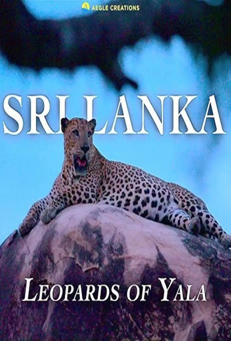 Sri Lanka : Leopards Of Yala I ศรีลังกา : เสือดาวในลายา