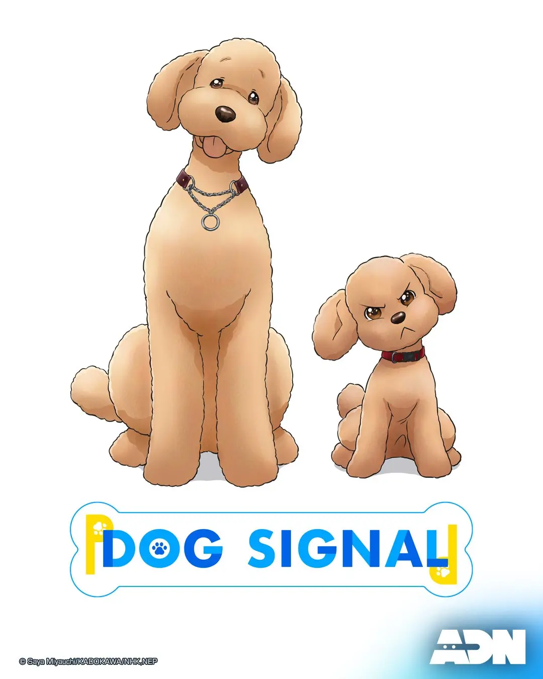 Dog Signal (ドッグシグナル) : สัญญาณหมา
