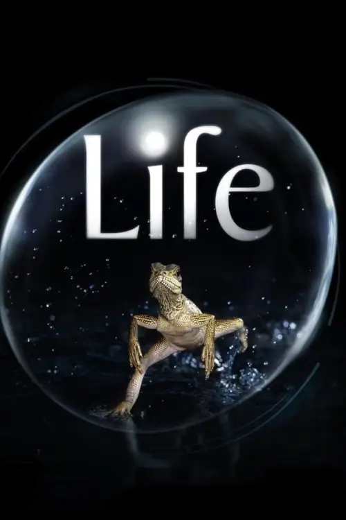 Life :  อัศจรรย์แห่งชีวิต