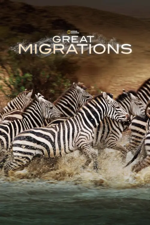 Great Migrations : อัศจรรย์ฝูงสัตว์อพยพ