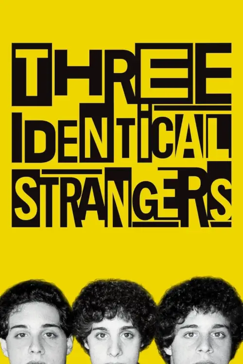 Three Identical Strangers | แฝดสามแปลกหน้า