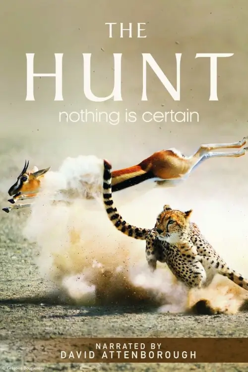 The Hunt