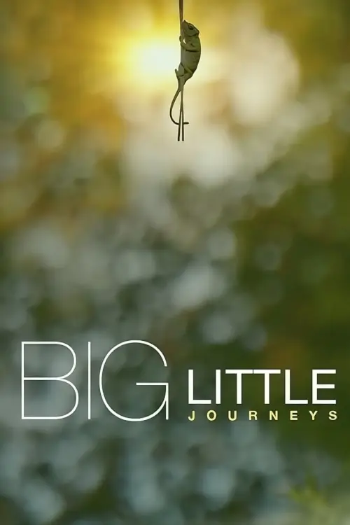 Big Little Journeys