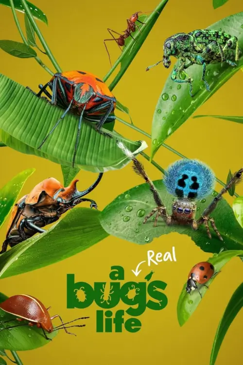 A Real Bug's Life : ชีวิตของแมลงที่แท้จริง