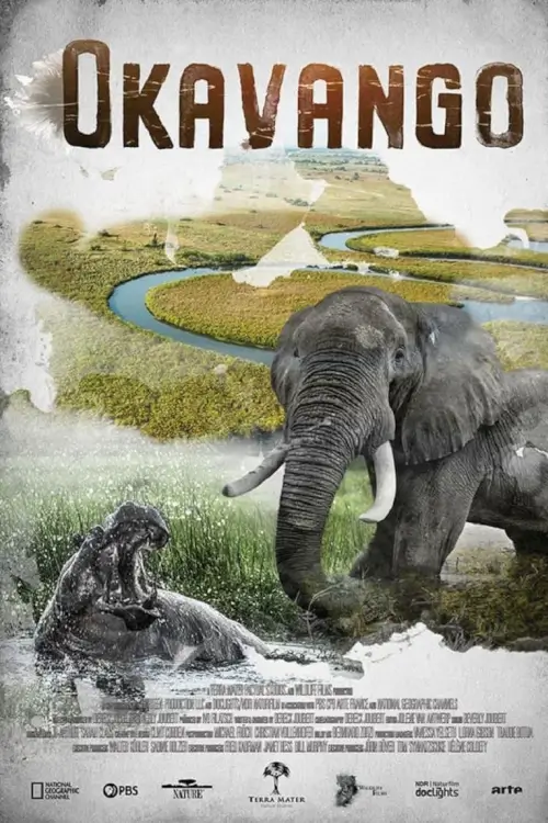 Okavango: River of Dreams