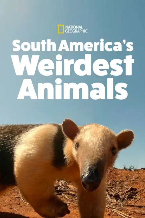 South America's Weirdest Animals : สัตว์ที่แปลกประหลาดที่สุดในอเมริกาใต้