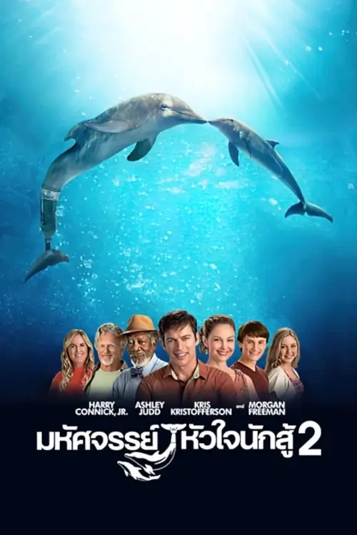 Dolphin Tale 2 | มหัศจรรย์โลมาหัวใจนักสู้ 2