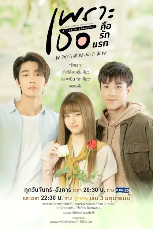 เพราะเธอคือรักแรก | A Love So Beautiful