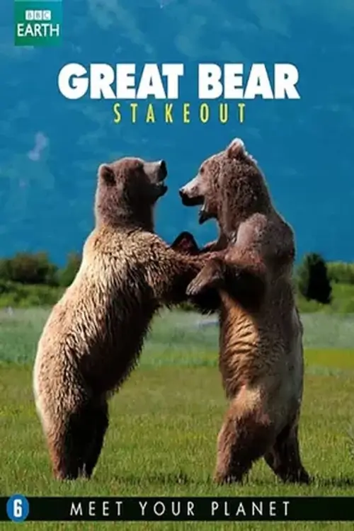 Great Bear Stakeout