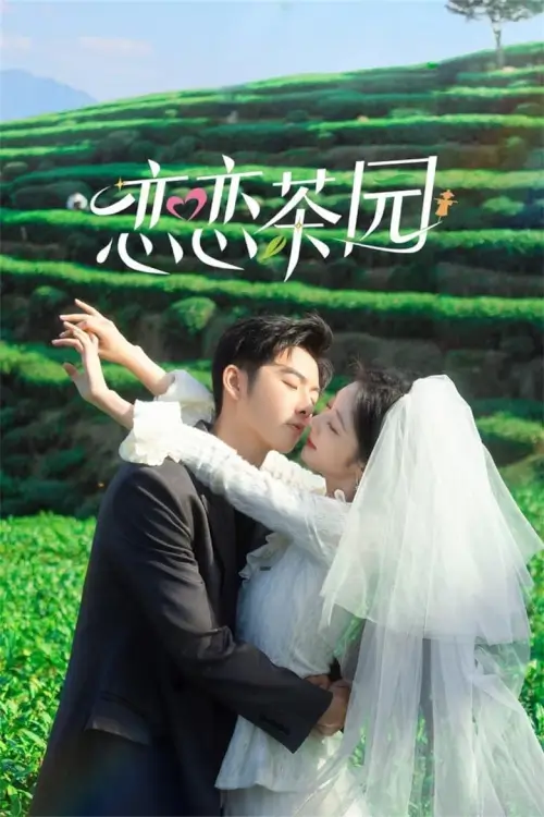 Love in the Tea Garden (2024) รักเกิดในสวนชา
