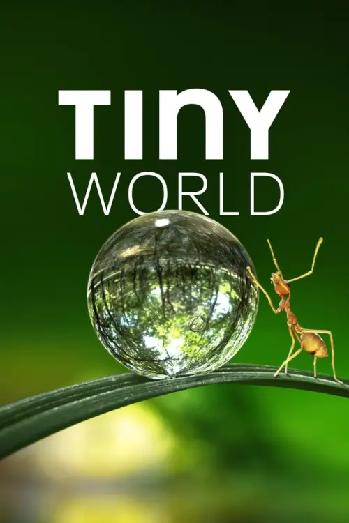 Tiny World (พลังเล็กๆ สุดยิ่งใหญ่ของฮีโร่ตัวจิ๋ว)