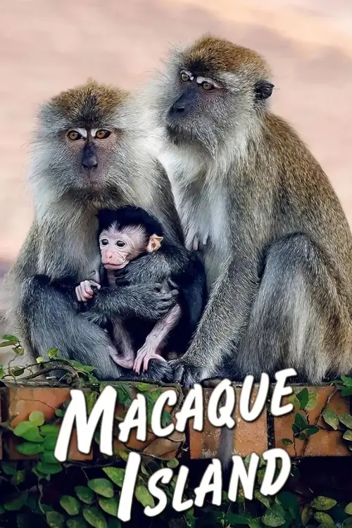 Macaque Island