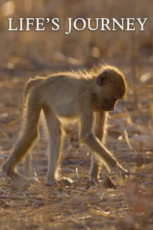 Life's Journey : เส้นทางชีวิตสัตว์โลกมหัศจรรย์