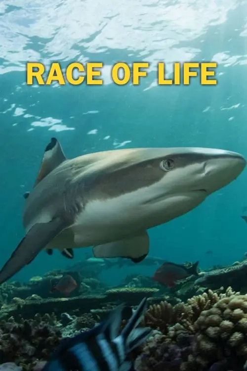 Race of life