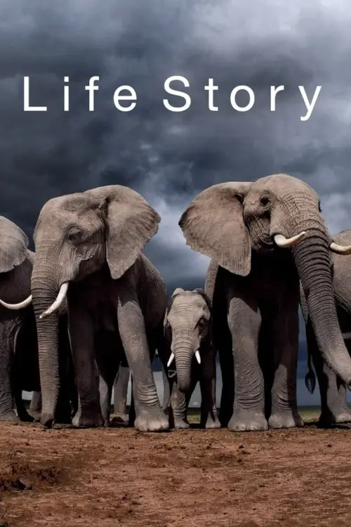 Life Story