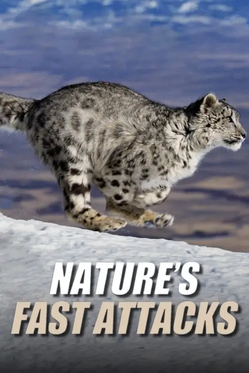 Nature's Fast Attacks : สุดยอดสัตว์โจมตีในพริบตา