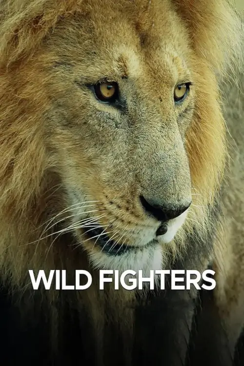 Wild Fighters : นักสู้ในธรรมชาติ