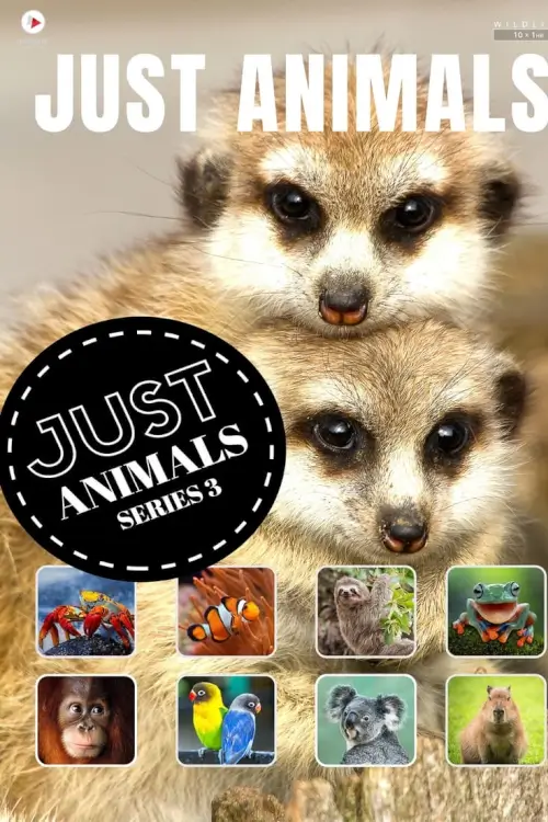 Just Animals : สัตว์โลกตัวจริง