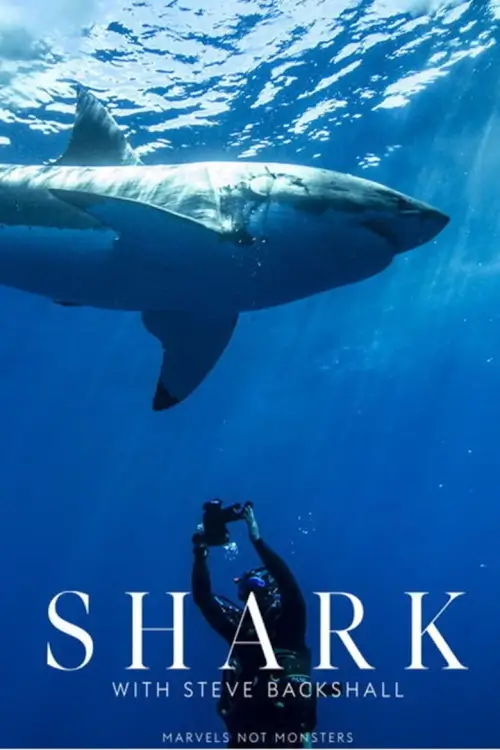 Shark with Steve Backshall : ท่องโลกกว้าง สตีฟ แบ็กชอลล์ กับฉลามแห่งมหาสมุทร