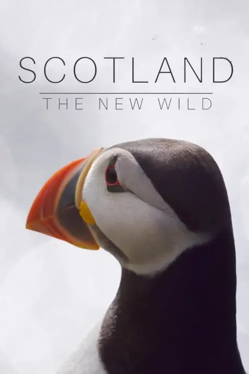 Scotland: The New Wild | อัศจรรย์ธรรมชาติสกอตแลนด์