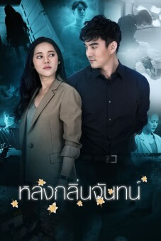 หลงกลิ่นจันทน์