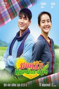 มนต์รักหนองผักกะแยง