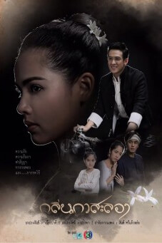 กลิ่นกาสะลอง