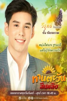 ทานตะวันสีเพลิง