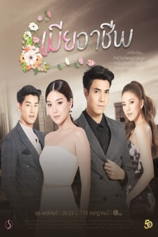 เมียอาชีพ