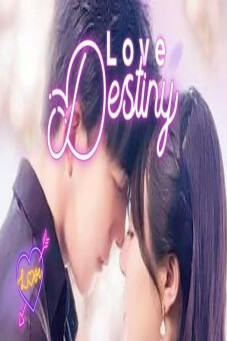 Love Destiny (2022)