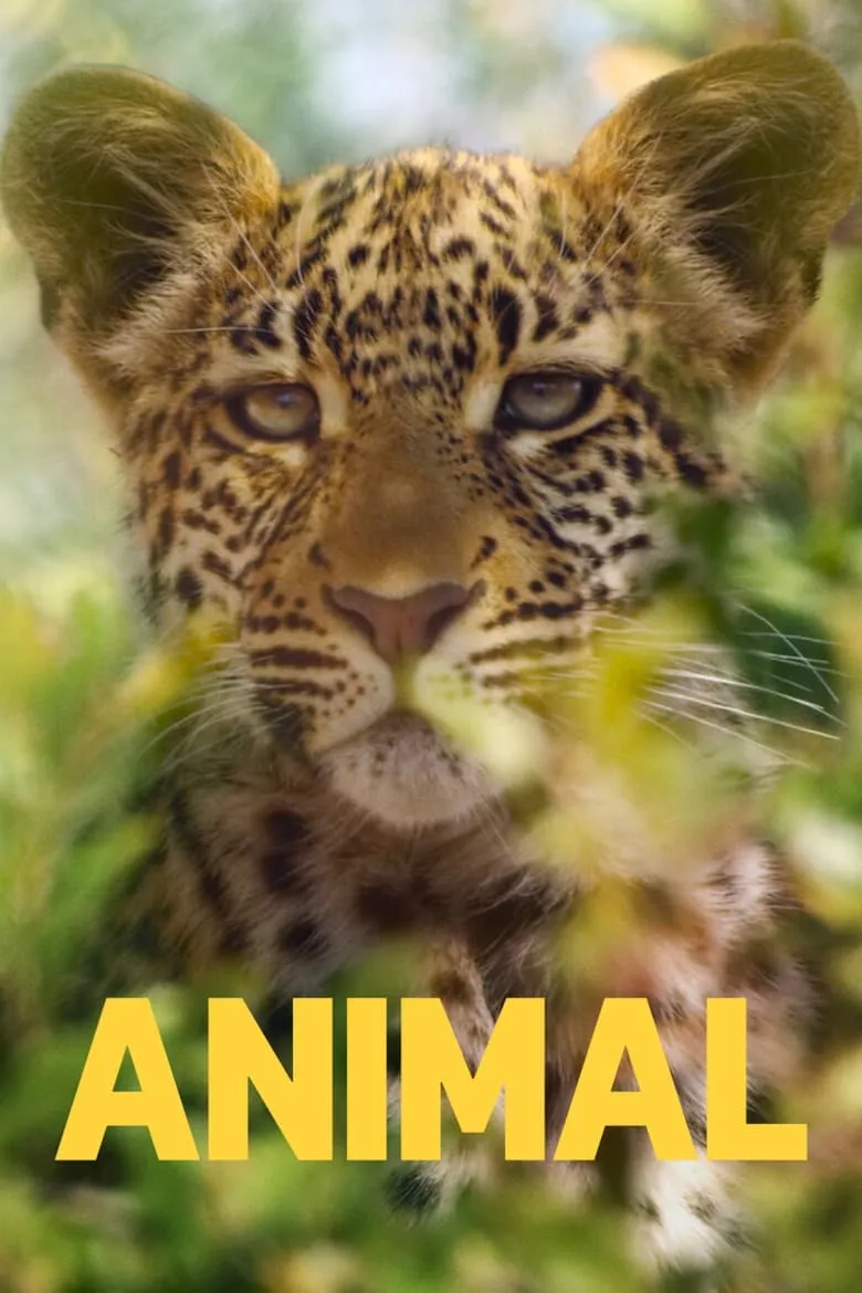 Animal | สัตว์มหัศจรรย์