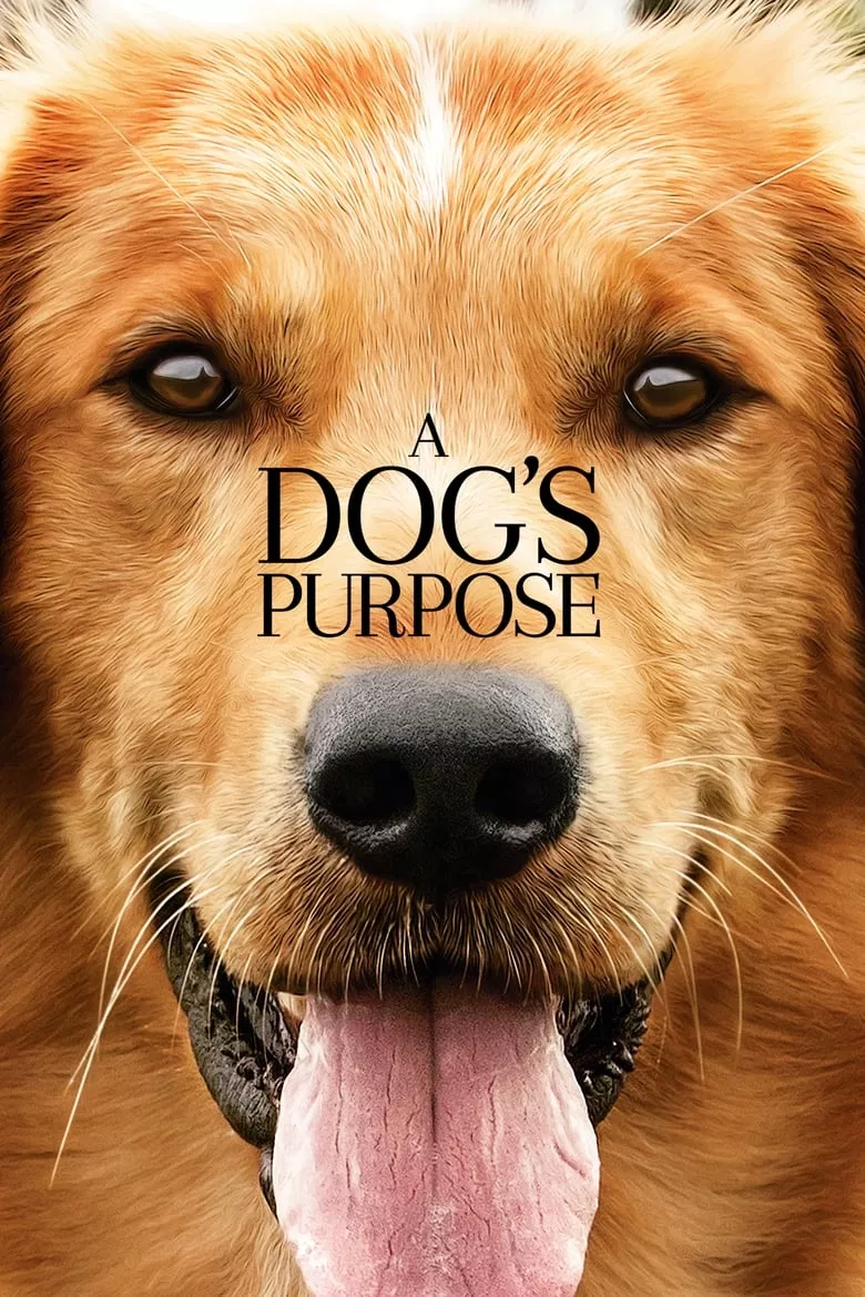 A Dog's Purpose | หมา เป้าหมาย และเด็กชายของผม