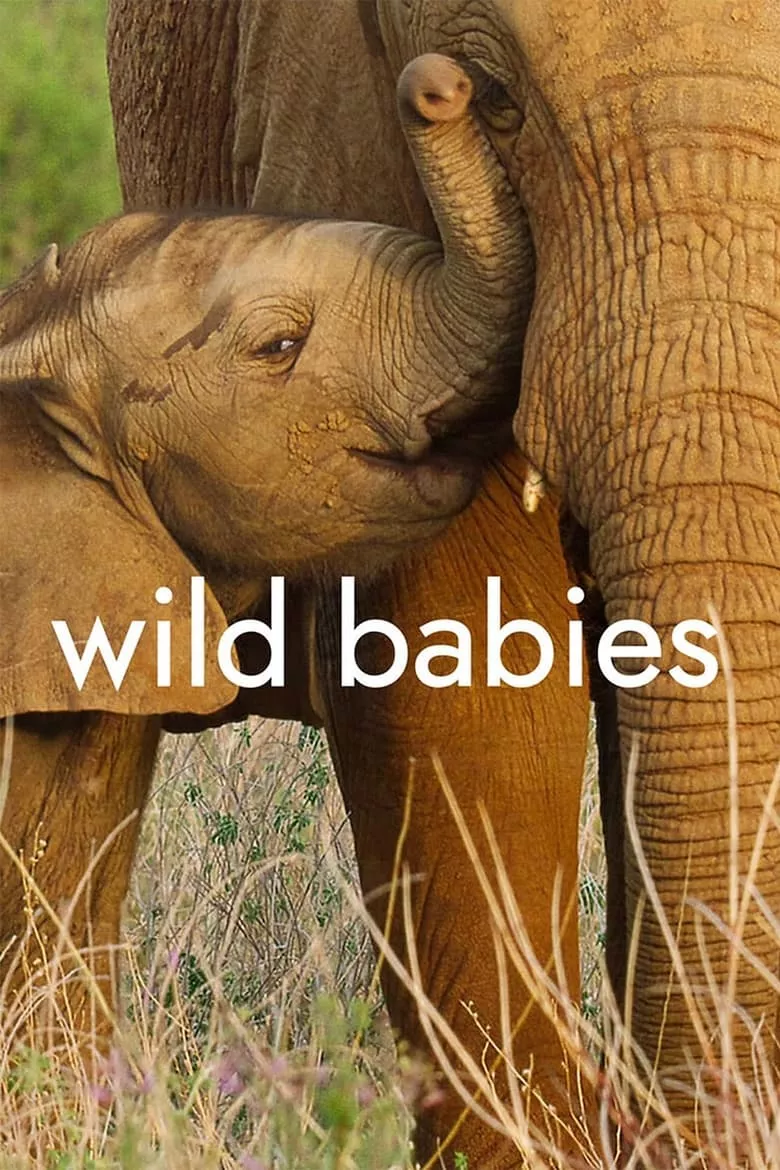 Wild Babies : เกิดในป่า