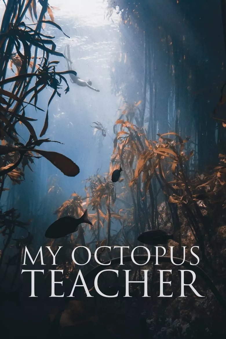 My Octopus Teacher | บทเรียนจากปลาหมึก