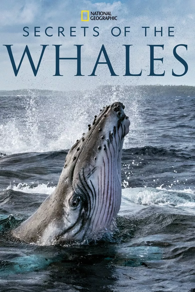 Secrets of the Whales (Won 1 Primetime Emmy)
